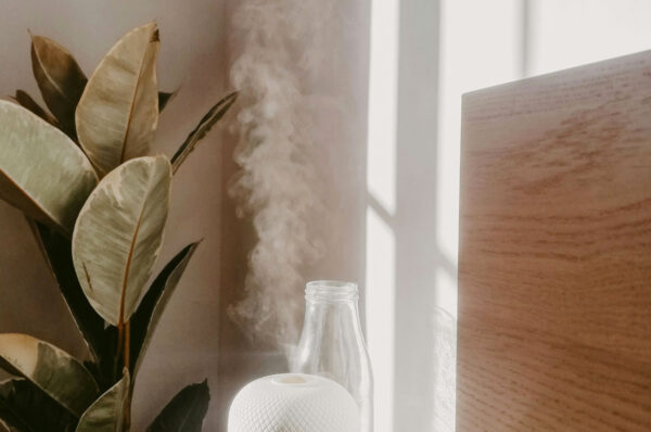 Duftlampe mit Zirbengeruch